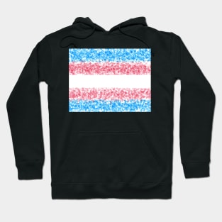 Trans Flag Painted Design Hoodie